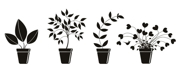 Plants in pots. Vector. Black and white graphic design and a little happy bird