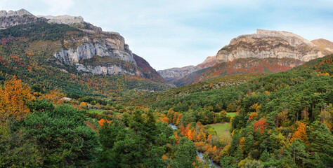 Gorgeous forest in Hecho Valley, Aragonese pyrenees, Huesca province, Spain