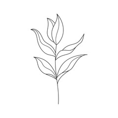 Hand drawn sketches leaf and branches in an elegant style. Vector illustration, isolated black elements on a white background