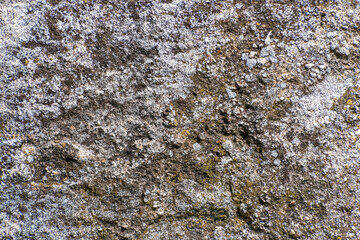 Detailed detail of a limestone stone texture