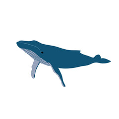 Obraz premium Whale. Ocean animal. Vector illustration. 