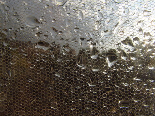 Tekstura kropel na siatce