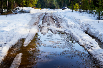 Dirty road in the snow in the middle of spruce and pine forests in early spring