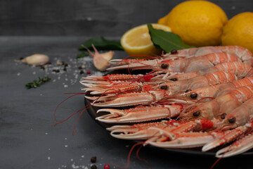 Boiled langoustines on black plate isolated on gray concrete table. Served with lemon and spicy herbs.