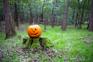 Halloween pumpkin smile