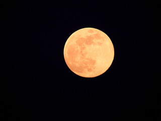 Obraz premium full moon in the night