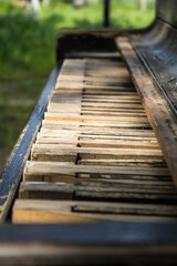 Obraz premium wooden bridge in the forest