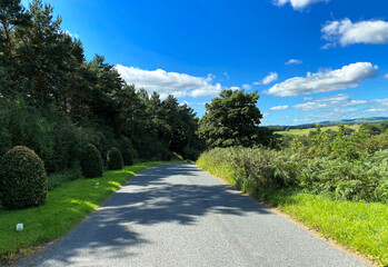 Looking along the, A658 road, with old trees, plants, and bushes, on a hot summers day in, Weeton, Harrogate, UK