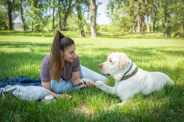 Young beautiful woman playing in the park with her pet dog Golden Labrador Retriever and enjoying a beautiful warm sunny day as best friends