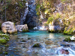 Naklejka na ściany i meble Kamniska bistrica river in Slovenia flowing from Predaselj gorge