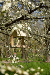 White wooden birdhouse on the blossom tree. Vertical image. Can be used as spring background. 