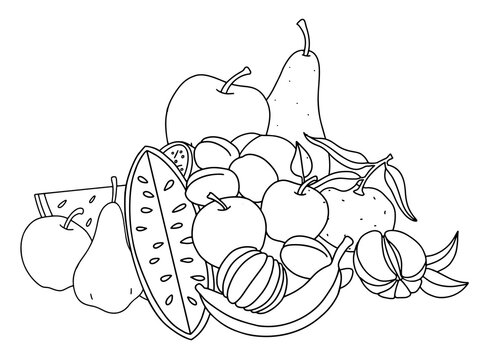 Fruit. Still life with different fruits, black outlines for children's coloring, outlined design. Vector black and white illustration