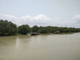 Fototapeta na wymiar Small Chinese fishing boats in a mangrove river