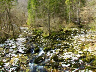 Sava Bohinjka stream at Savica near Bohinj in Gorenjska, Slovenia flowing through a forest