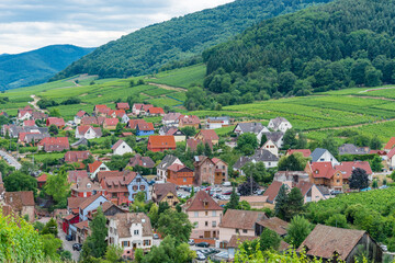 Fototapeta na wymiar Alsace village, vineyard, Riquewhir, France, Europe, Automn