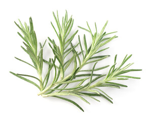 Fototapeta premium fresh curry plant leaves isolated on white background, top view