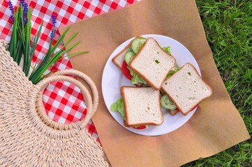 Three vegetarian sandwiches with cucumbers tomatoes and bread. Picnic in park 