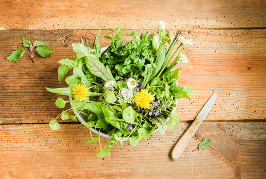 Wildkr&auml;uter Wildkr&auml;utersalat essbare Bl&uuml;ten Bl&auml;tter Kr&auml;uter Salat 