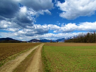 Fototapeta na wymiar Dirt road leading through fields and snow covered Karavanke mountains behind in Gorenjska, Slovenia and beutiful white clouds in the sky