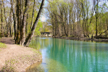 very clear water is slowly running down river Orb at France in springtime