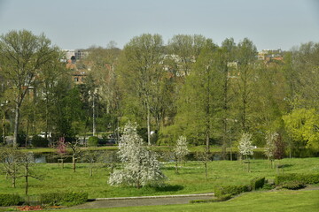 Le feuillage des arbres au début du printemps au Jardin des Fleurs à Laeken 