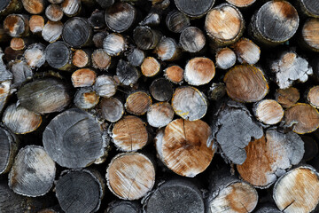 texture of stacked firewood logs