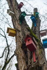 Birdhouses of different colors attached to a tree in the park
