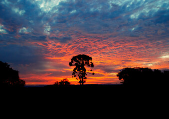 silhouette of a person on a sunset