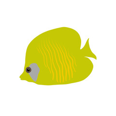 Blue-cheek butterflyfish. Yellow sea fish. Vector illustration.
