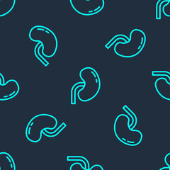Green line Human kidney icon isolated seamless pattern on blue background. Vector