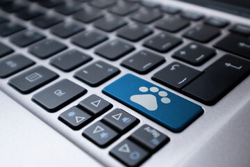 Laptop keyboard with a blue key and a drawn pet footprint. Veterinary, pet, online concept.