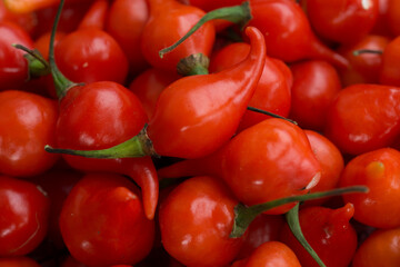 Pimenta biquinho, um tempero suave para comida. 