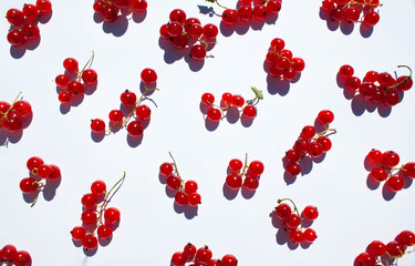 Clusters of red currant are scattered around. Red currant is scattered on a white background.