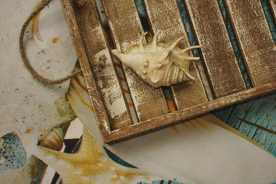 starfish on a retro wooden tray and sea shells on a blue background