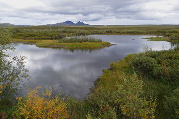 Permafrost lake in Yukon tundra, thermokarst lake, also called thaw depression, formed by thawing ice-rich permafrost, global warming climate change concept, Canada