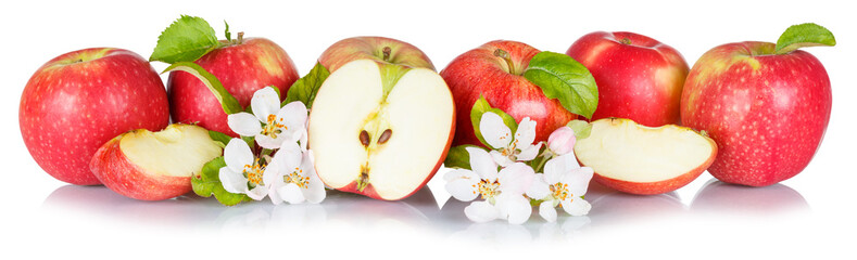 Apples fruits red apple fruit collection with leaves and blossoms in a row isolated on a white...