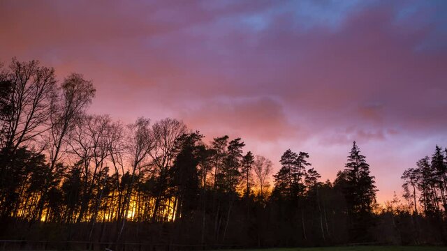 Spectacular evening sky over forest and meadow. 4k timelapse.