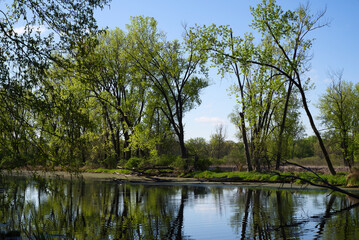 Fototapeta na wymiar Early Spring Riverbank