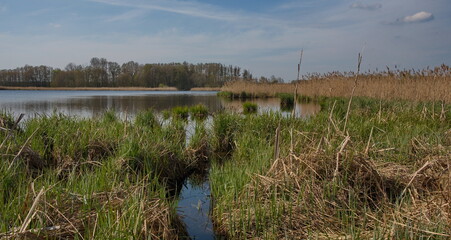 Landschaft im Naturpark Nuthe-Nieplitz bei Stangenhagen
