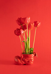 fresh red tulips and green leaves growing up from red shoe flower pot on sunny summer red background. abstract art. minimal creative decoration