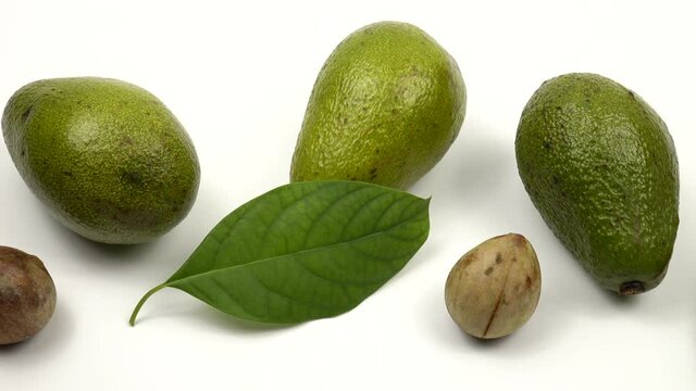 Whole avocados and avocado leaves arranged in a row on the white table