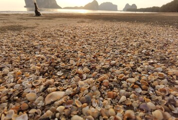 Obraz premium beach and sea