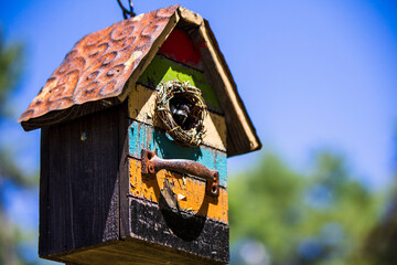 Chickadee House