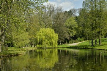 Fototapeta na wymiar L'étang du jardin Jean Sobieski à Laeken entouré de pelouses et d'arbres divers au début du printemps 