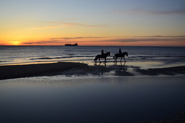 Sunset on the beach with horses