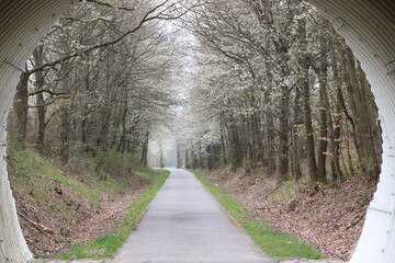 Tunnelblick. Fahrradweg.