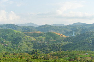 Fototapeta premium Beautiful view of local valley and mountain in misty near Bao Loc city, Lam Dong province, Vietnam