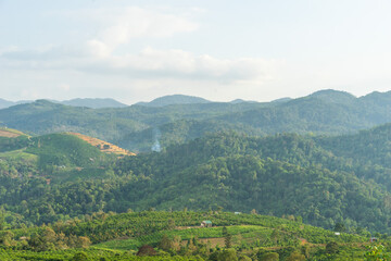 Beautiful view of local valley and mountain in misty near Bao Loc city, Lam Dong province, Vietnam