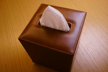 Brown square box with tissue paper - 茶色いケースに入ったティッシュ