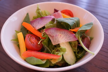 Bowl of colorful salad - 色鮮やか サラダ